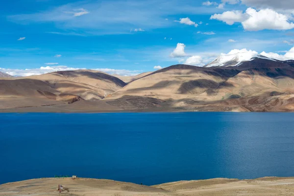 Ladakh India Tso Moriri Lake Changthang Plateau Ladakh Jammu Kashmir — Stock Photo, Image