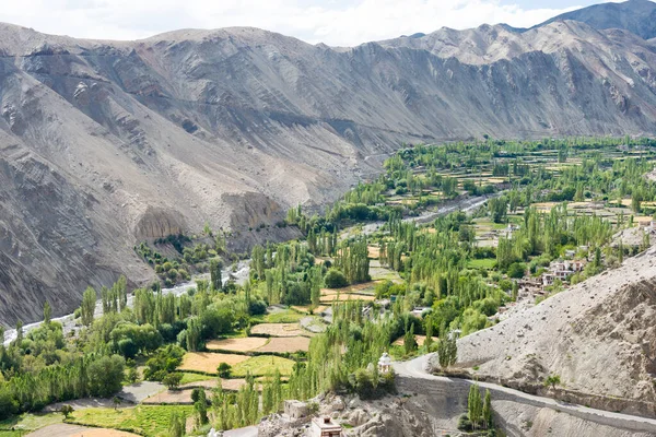 Ladakh, Hindistan - Hindistan 'ın Sham Vadisi, Ladakh, Jammu ve Kaşmir kentindeki Tingmosgang Köyü' nden (Temisgam Köyü) güzel manzara.