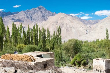 Ladakh, Hindistan - Ladakh, Jammu ve Kashmir, Hindistan 'daki Diskit ve Türkler Arasından güzel manzara.