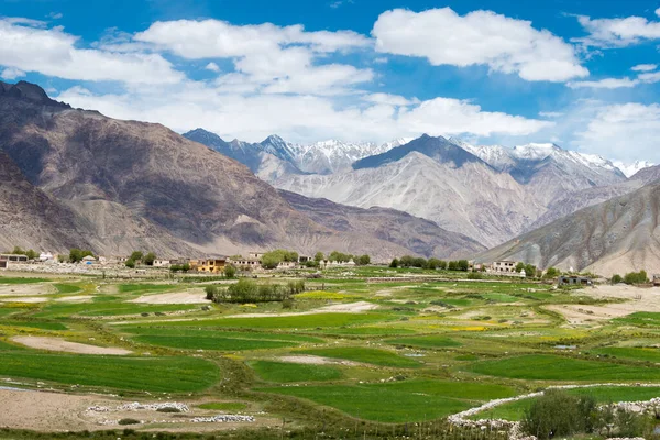 Ladakh India Beautiful Scenic View Diskit Khardung Pass 5359M Nubra — Stock Photo, Image