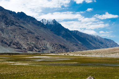 Ladakh, Hindistan - Ladakh, Jammu ve Kashmir 'deki Nubra Vadisi' nden güzel manzara.
