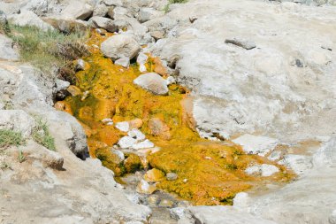 Ladakh, Hindistan - Nubra Vadisi, Ladakh, Jammu ve Kashmir Panamik Köyünde Kaplıca.