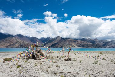 Ladakh, Hindistan - Ladakh, Jammu ve Kashmir, Hindistan 'da Kakstet ve Chushul Arası Pangong Gölü manzarası. Göl, Himalayalar 'da yaklaşık 4350 metre yükseklikte bulunan bir endorheik göl..