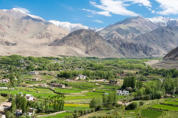 Ladakh India Beautiful Scenic View Leh Nubra Valley Ladakh Jammu — Stock Photo, Image