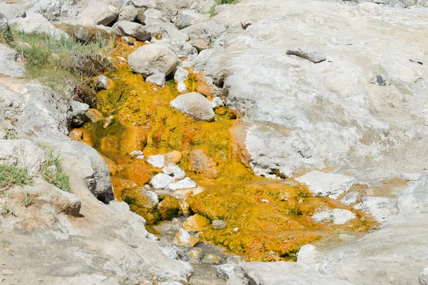 Ladakh, Hindistan - Nubra Vadisi, Ladakh, Jammu ve Kashmir Panamik Köyünde Kaplıca.