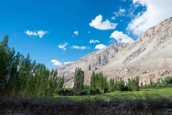 Ladakh, Hindistan - Nubra Vadisi 'ndeki Panamik Köyü, Ladakh, Jammu ve Kashmir, Hindistan' dan güzel manzara.