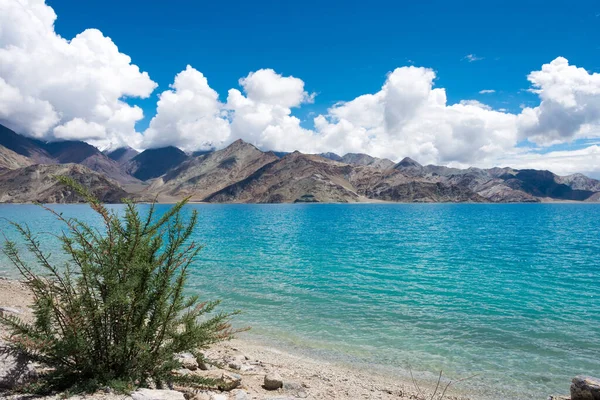 Ladakh Indien Blick Auf Den Pangong See Zwischen Kakstet Und — Stockfoto