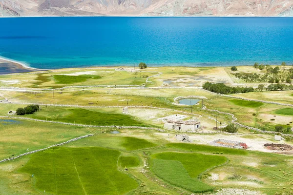 Ladakh, India - Beautiful scenic view from Merak Village near Pangong Lake in Ladakh, Jammu and Kashmir, India.