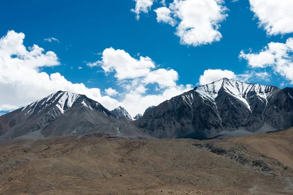 Ladakh Hindistan Ladakh Jammu Kashmir Deki Pangong Gölü Yakınlarındaki Merak — Stok fotoğraf