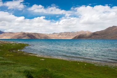 Ladakh, Hindistan - Ladakh, Jammu ve Kashmir 'den Pangong Gölü manzarası Ladakh ve Spangmik arasında. Göl, Himalayalar 'da yaklaşık 4350 metre yükseklikte bulunan bir endorheik göl..