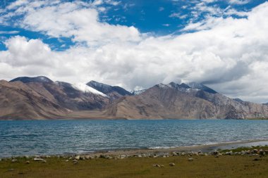 Ladakh, Hindistan - Ladakh, Jammu ve Kashmir 'deki Pangong Gölü yakınlarındaki Maan Köyü' nden güzel manzara.