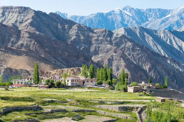 Ladakh Inde Belle Vue Panoramique Entre Yangtang Hemis Shukpachan Dans — Photo