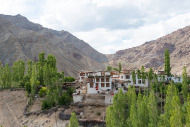 Ladakh, Hindistan - Sham Valley 'deki Yangtang Köyü, Ladakh, Jammu ve Kashmir, Hindistan.