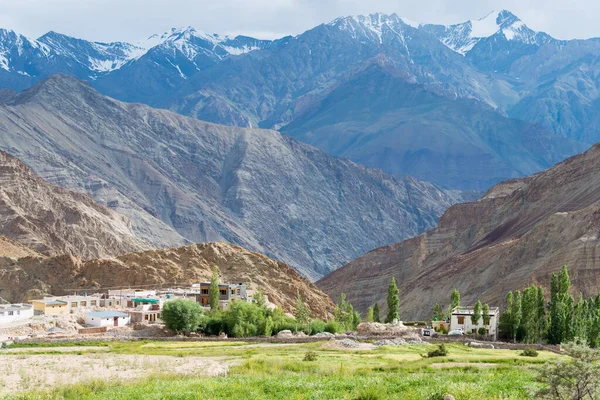 Ladakh India Villaggio Yangtang Nella Sham Valley Ladakh Jammu Kashmir — Foto Stock