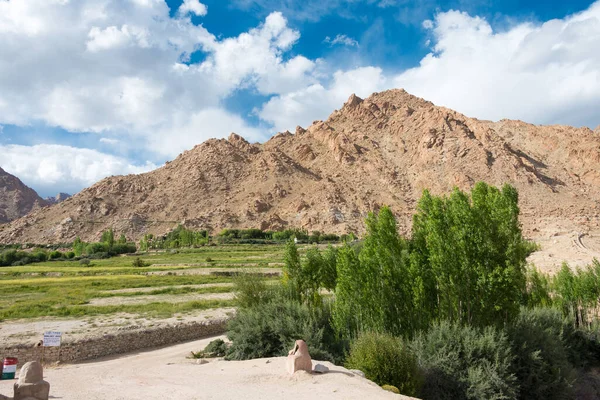 Ladakh Inde Village Yangtang Dans Vallée Sham Ladakh Jammu Cachemire — Photo