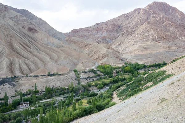 Ladakh India Yangtang Village Στο Sham Valley Ladakh Jammu Και — Φωτογραφία Αρχείου