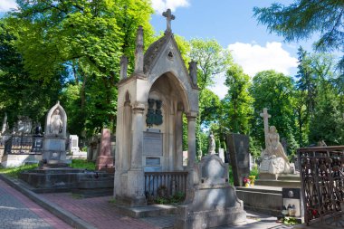 Lviv, Ukrayna - Devlet Tarihi ve Kültür Müzesi-Koruma 