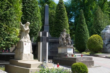 Lviv, Ukrayna - Devlet Tarihi ve Kültür Müzesi-Koruma 