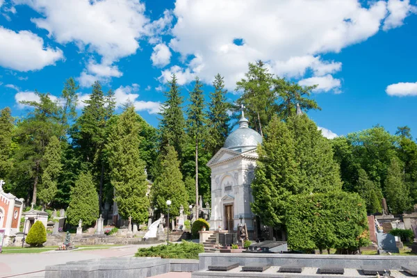 Lviv, Ukrayna - Devlet Tarihi ve Kültür Müzesi-Koruma 