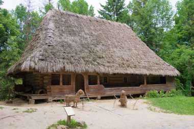 Lviv, Ukrayna - Lviv 'deki Halk Mimarisi ve Kırsal Yaşam Müzesi. Lviv, Ukrayna 'da ünlü bir tarihi mekan..