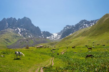 Kazbegi, Gürcistan - Kafkasya dağı yakınlarındaki Juta vadisi. Kazbegi, Mtskheta-Mtianeti, Georgia 'da ünlü bir manzara..