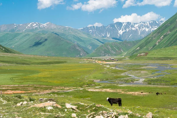 Kazbegi Georgia Truso Valley Caucasus Mountain Famous Landscape Kazbegi Mtskheta — Stock Photo, Image