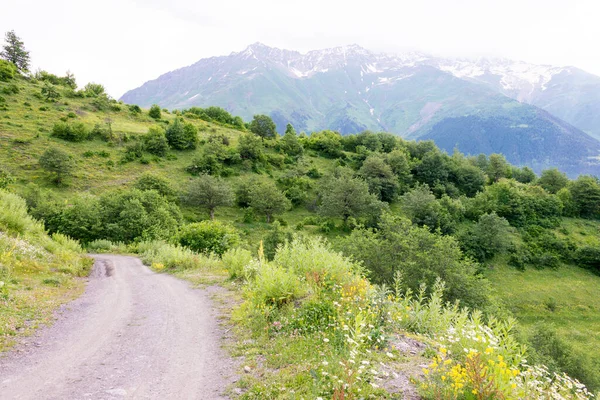 Mestia Georgia Mountain Range Hiking Trail Mestia Chalaadi Glacier Famous — Stock Photo, Image