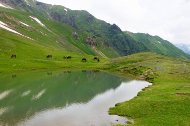 Mestia, Georgia - Mestia 'dan Koruldi göllerine doğru yürüyüş yolu. Mestia, Samegrelo-Zemo Svaneti, Georgia 'da ünlü bir manzara..