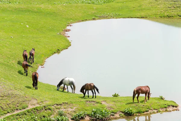 Mestia Georgien Wanderweg Von Mestia Den Seen Von Koruldi Eine — Stockfoto