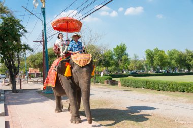 Ayutthaya, Tayland - Ayutthaya Tarih Parkı, Ayutthaya, Tayland 'da fil gezisi turisti.