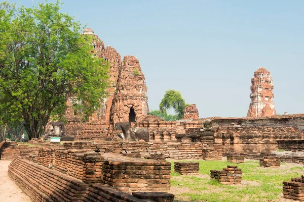 Ayutthaya, Tayland - WAT MAHAThat Ayutthaya, Tayland. Dünya Mirası Bölgesi - Ayutthaya Tarihi Kenti.