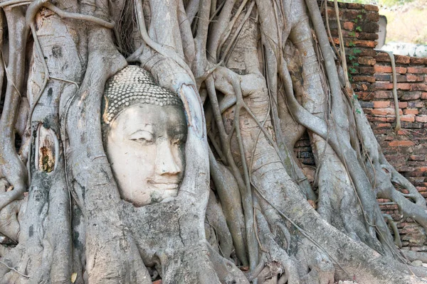 Ayutthaya Thaiföld Feje Buddha Wat Mahathat Ayutthaya Thaiföld Része Világörökség — Stock Fotó