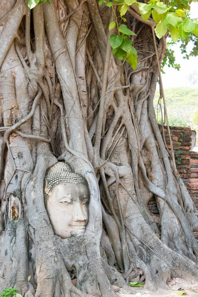 Ayutthaya Thaiföld Feje Buddha Wat Mahathat Ayutthaya Thaiföld Része Világörökség — Stock Fotó