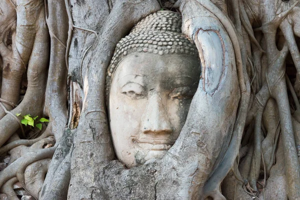 Ayutthaya Thaiföld Feje Buddha Wat Mahathat Ayutthaya Thaiföld Része Világörökség — Stock Fotó