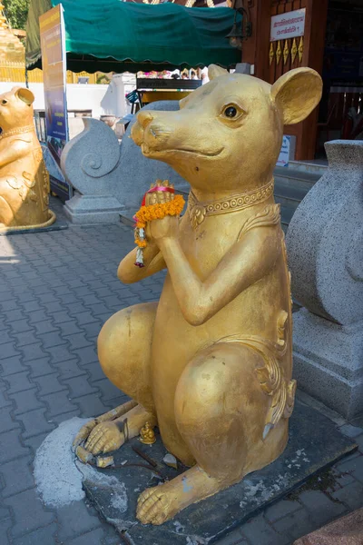 Chiang Mai Thailand Rat Standbeeld Bij Wat Phra Chom Thong — Stockfoto
