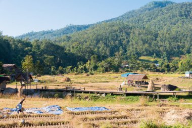 Pai, Tayland - Pai Bambu Köprüsü 'nden (Boon Ko Ku So) güzel manzara, Mae Hong Son Eyaleti, Tayland.