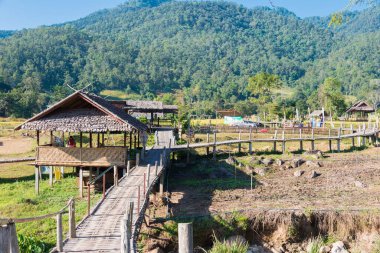 Pai, Tayland - Pai Bamboo Köprüsü (Boon Ko Ku So), Mae Hong Son Eyaleti, Tayland.