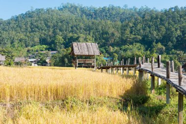 Pai, Tayland - Pai Bamboo Köprüsü (Boon Ko Ku So), Mae Hong Son Eyaleti, Tayland.