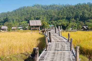 Pai, Tayland - Pai Bamboo Köprüsü (Boon Ko Ku So), Mae Hong Son Eyaleti, Tayland.