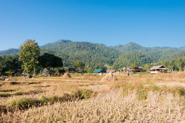 Pai, Tayland - Pai Bambu Köprüsü 'nden (Boon Ko Ku So) güzel manzara, Mae Hong Son Eyaleti, Tayland.