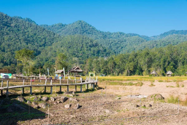 Pai, Tayland - Pai Bambu Köprüsü 'nden (Boon Ko Ku So) güzel manzara, Mae Hong Son Eyaleti, Tayland.