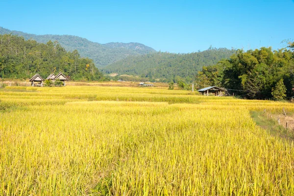 Pai, Tayland - Pai Bambu Köprüsü 'nden (Boon Ko Ku So) güzel manzara, Mae Hong Son Eyaleti, Tayland.