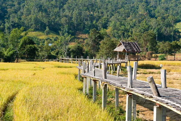 stock image Pai, Thailand - Beautiful scenic view from Pai Bamboo Bridge (Boon Ko Ku So) in Pai, Mae Hong Son Province, Thailand.