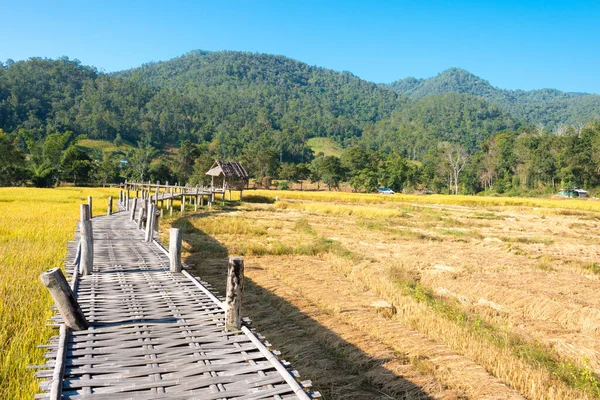 Pai, Tayland - Pai Bamboo Köprüsü (Boon Ko Ku So), Mae Hong Son Eyaleti, Tayland.