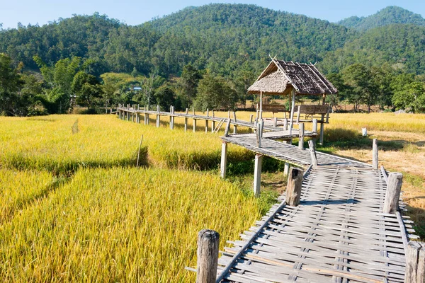 Pai, Tayland - Pai Bamboo Köprüsü (Boon Ko Ku So), Mae Hong Son Eyaleti, Tayland.