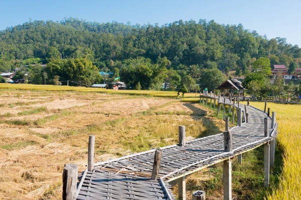 Pai, Tayland - Pai Bamboo Köprüsü (Boon Ko Ku So), Mae Hong Son Eyaleti, Tayland.