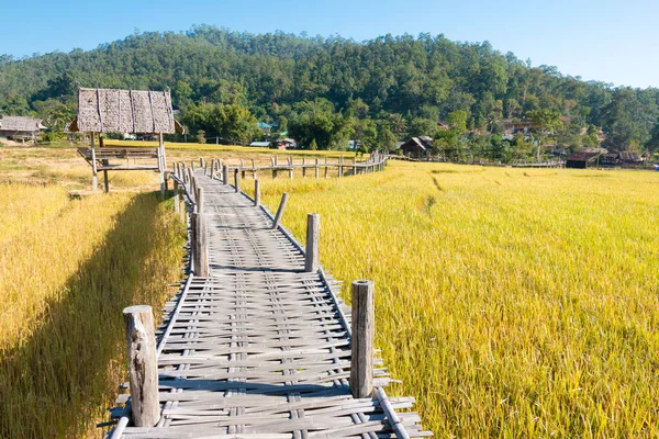 Pai, Tayland - Pai Bamboo Köprüsü (Boon Ko Ku So), Mae Hong Son Eyaleti, Tayland.
