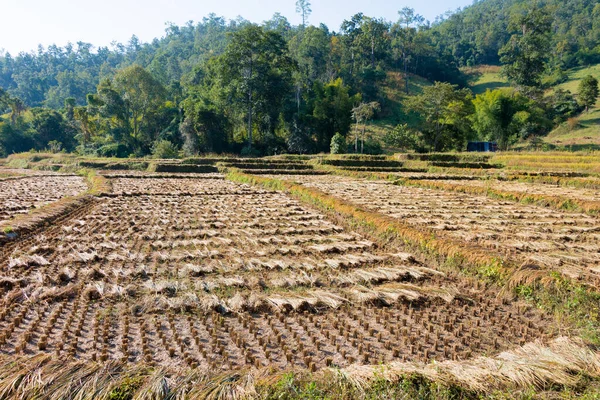 Pai Tailandia Hermosa Vista Panorámica Desde Puente Bambú Pai Boon — Foto de Stock