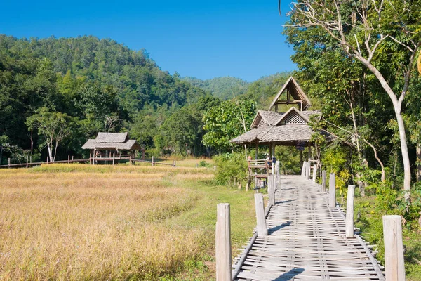 Pai, Tayland - Pai Bambu Köprüsü 'nden (Boon Ko Ku So) güzel manzara, Mae Hong Son Eyaleti, Tayland.