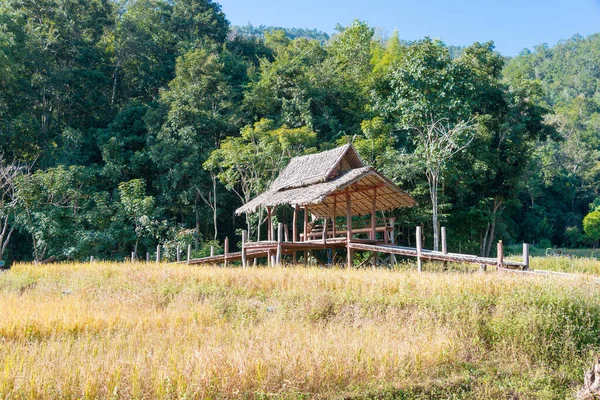 Pai, Tayland - Pai Bambu Köprüsü 'nden (Boon Ko Ku So) güzel manzara, Mae Hong Son Eyaleti, Tayland.